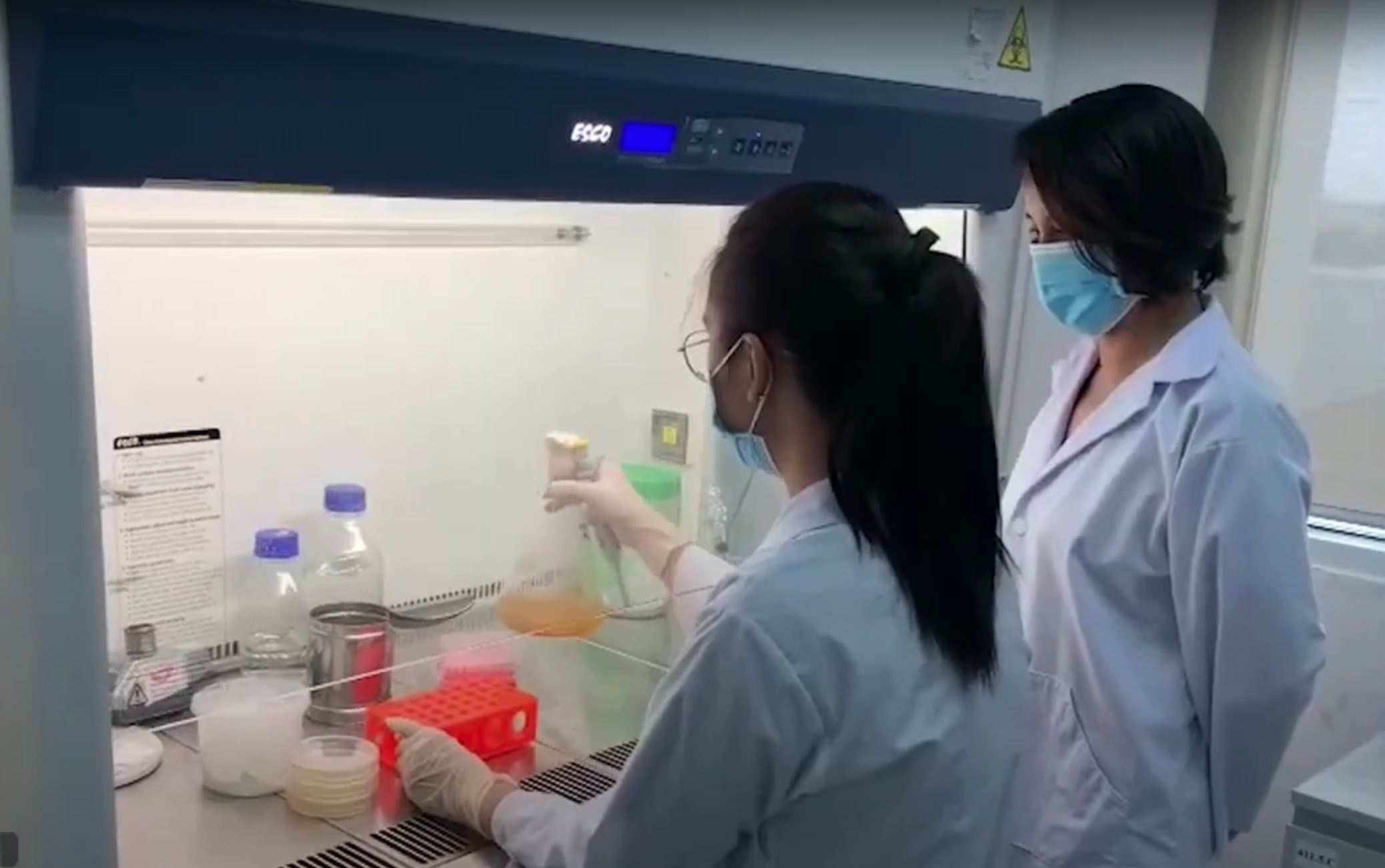 Scientists working in BUYO laboratory
