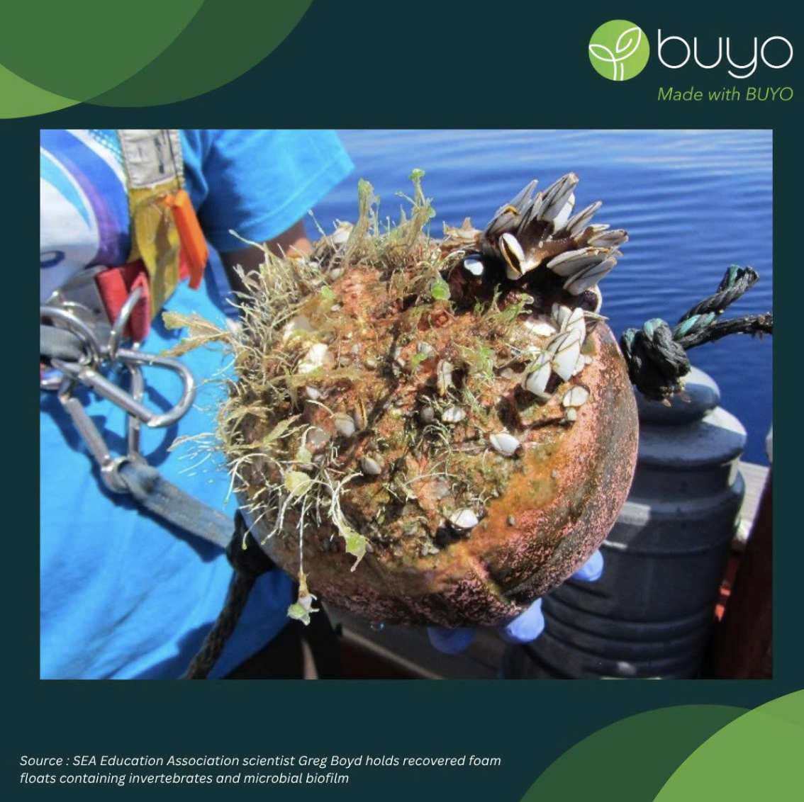 🔬True sustainability means protecting our planet from the macro level down to the microbial