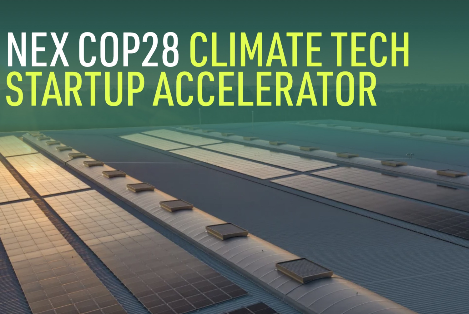 BUYO selected into NEX COP28 Climate Tech Startup Accelerator