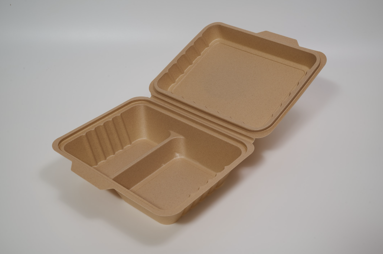Clam Shell 2 Compartments Box ?? Model.Product.Slug
